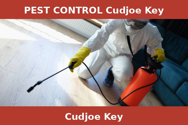 PEST CONTROL Cudjoe Key